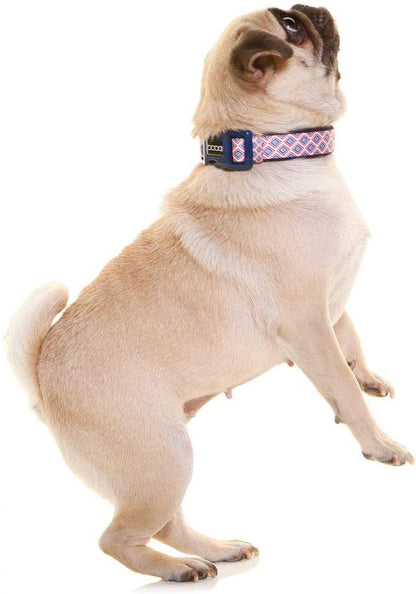 Doog Neoprene Dog Collar (Gromit - Navy White Red Chevron)