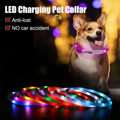 NICEYARD Rechargeable LED Night Dog Collars Glowing Luminous Pet Dog Collar Usb Dog Collar Night Safety Flashing