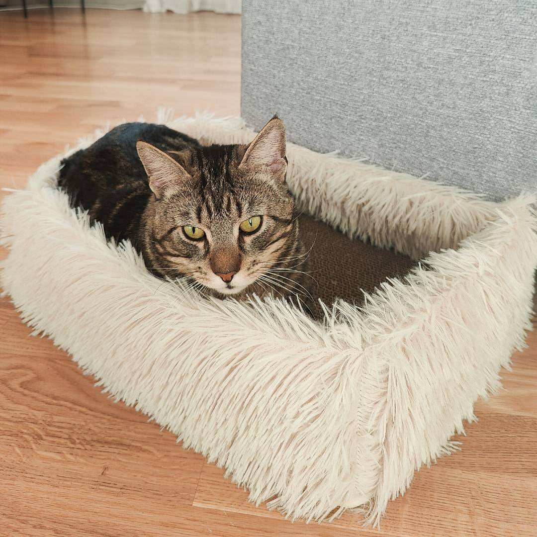 2-In-1 Cat Scratcher Bed