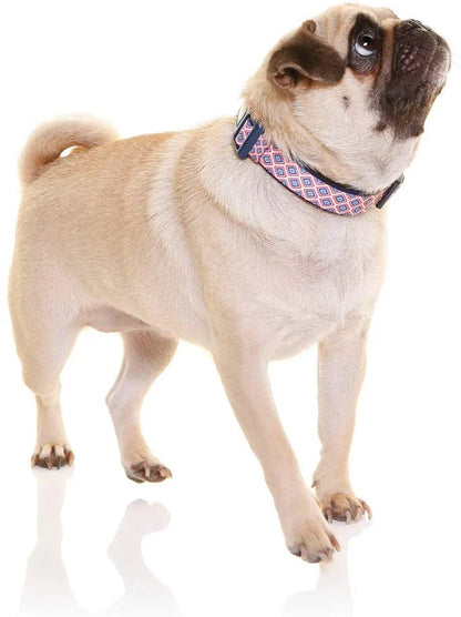 Doog Neoprene Dog Collar (Gromit - Navy White Red Chevron)