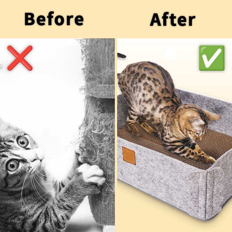 2-In-1 Cat Scratcher Bed